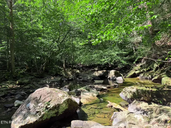 $1,299,000 | 0 Sr 111, Spencer, TN 38585