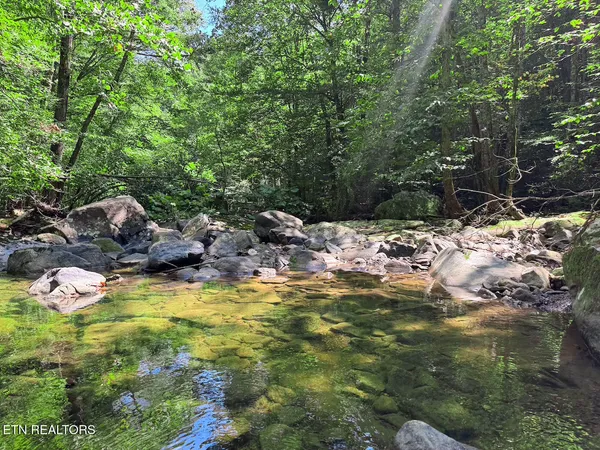 $1,299,000 | 0 Sr 111, Spencer, TN 38585