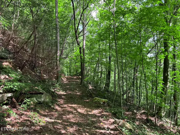 $1,299,000 | 0 Sr 111, Spencer, TN 38585