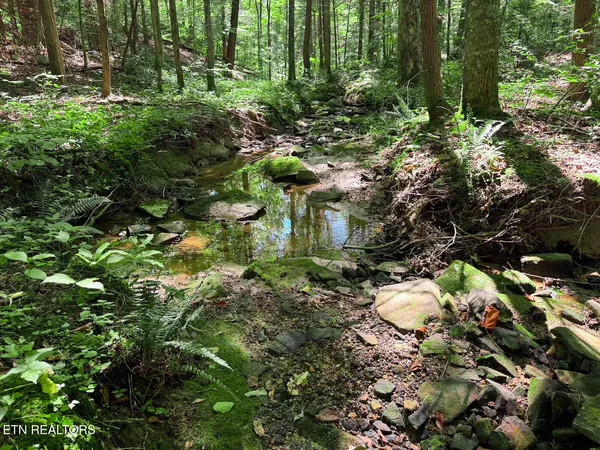 $1,299,000 | 0 Sr 111, Spencer, TN 38585