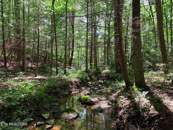 $1,299,000 | 0 Sr 111, Spencer, TN 38585