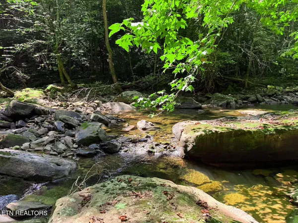 $1,299,000 | 0 Sr 111, Spencer, TN 38585