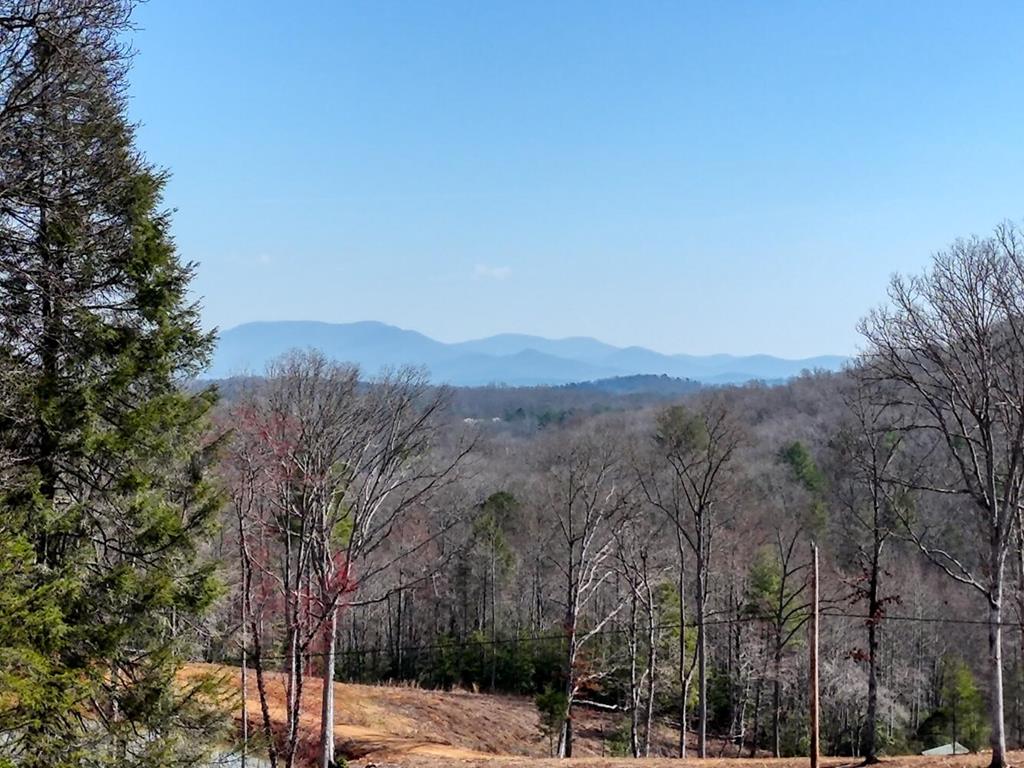 Lot B6 Bent Wood Lane Blue Ridge, GA 30513 - Photo 1 of 8 Main View