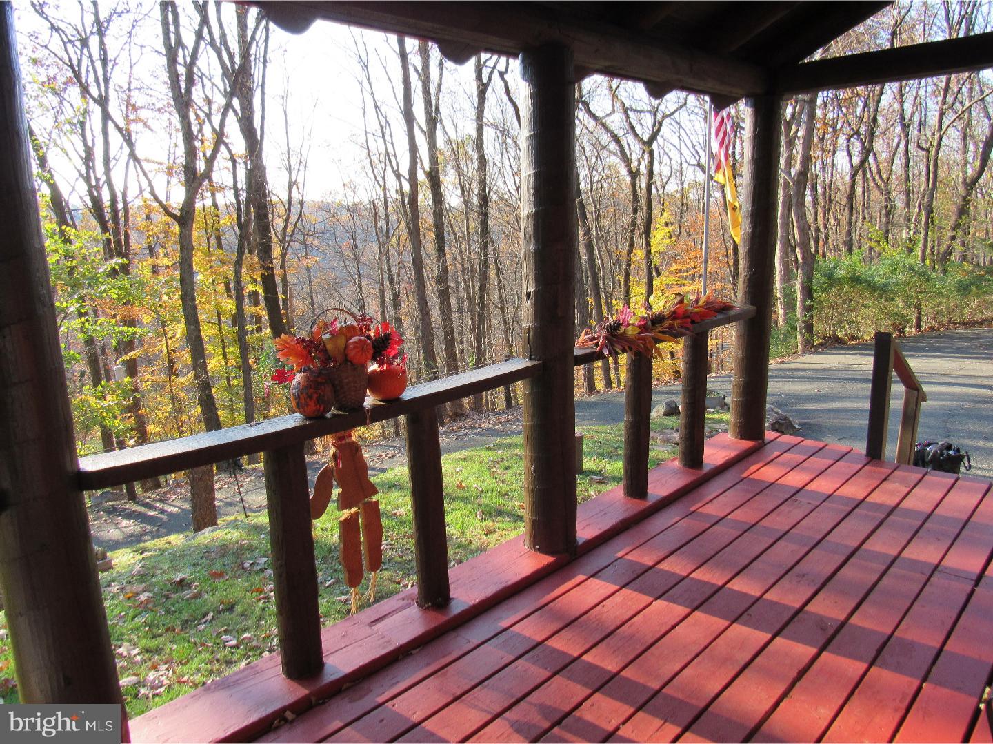 241 Old State Road Boyertown, PA 19512 - Photo 2 of 24 View from Front Door