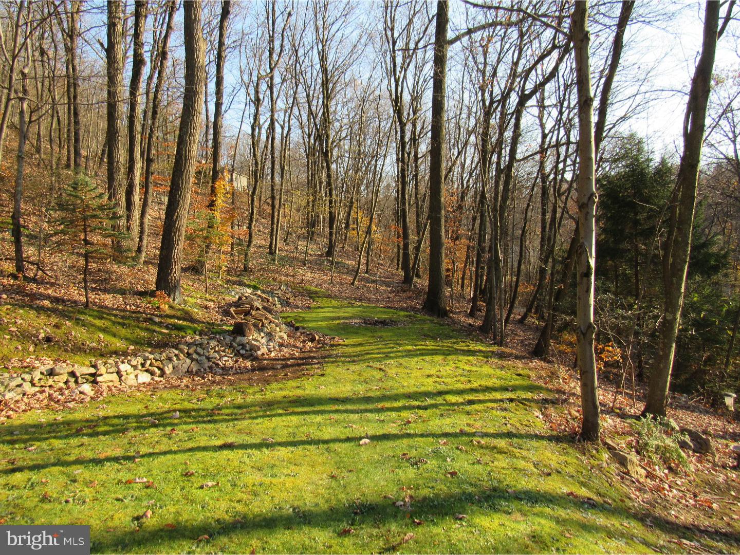 241 Old State Road Boyertown, PA 19512 - Photo 22 of 24 Side Yard