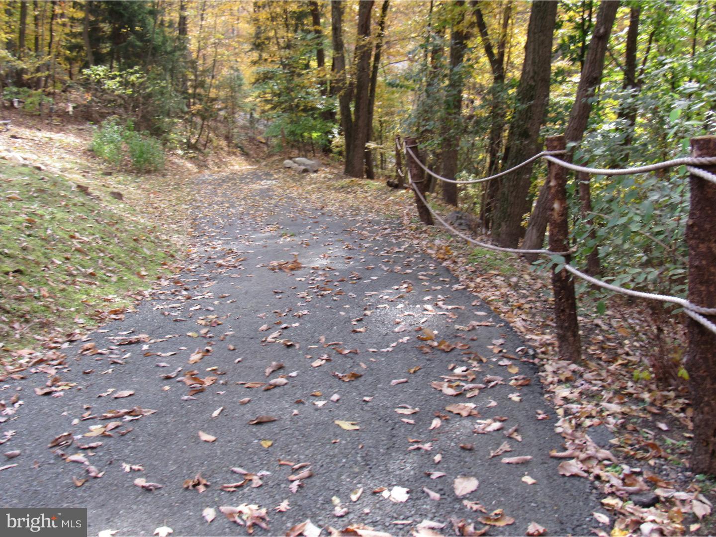 241 Old State Road Boyertown, PA 19512 - Photo 5 of 24 Driveway