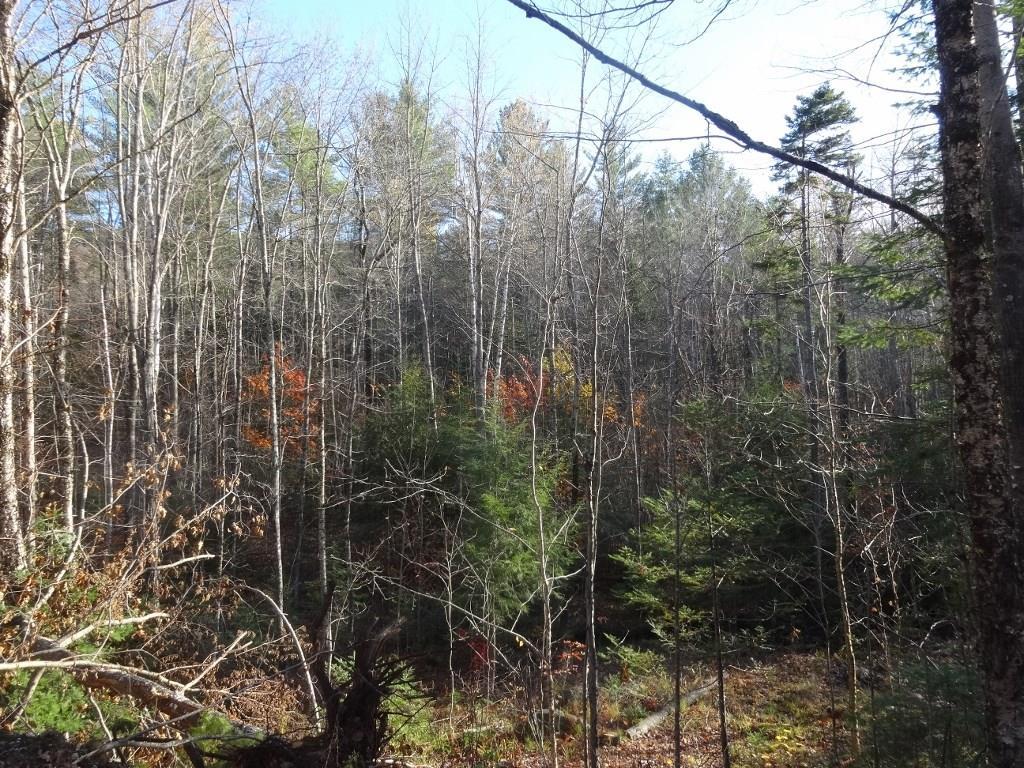 0 Coburn Brook Road Rumford, ME 04276 - Photo 2 of 2 Photo