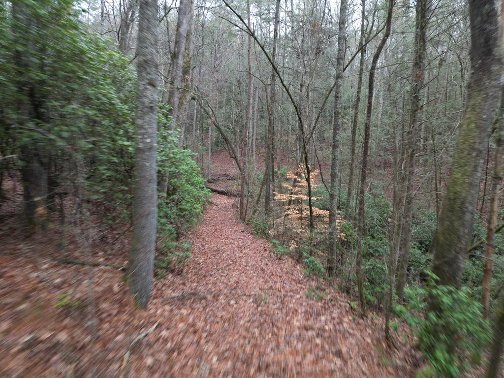 Tbd Dillard Road Murphy, NC 28906 - Photo 13 of 21