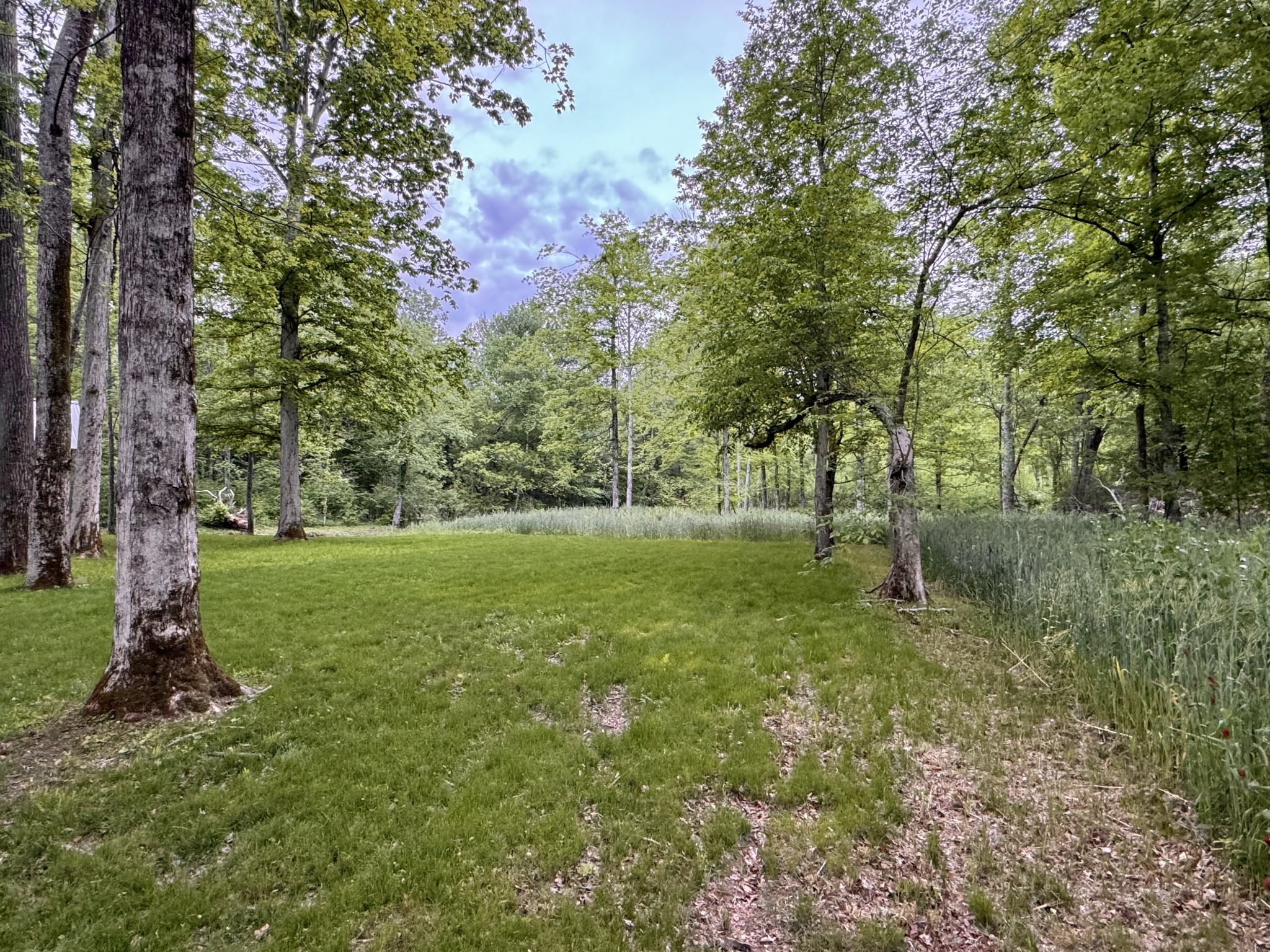 1818 Linville Road Lawrenceburg, TN 38464 - Photo 48 of 69 Gallery Image 48