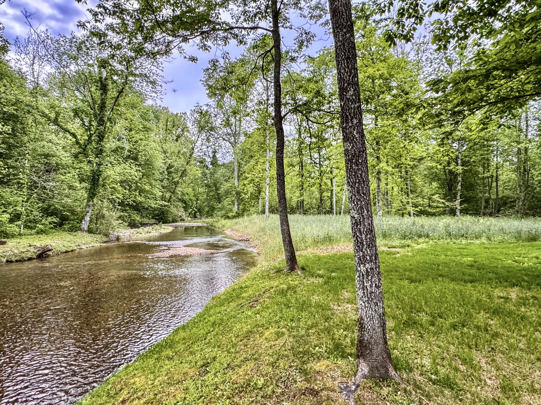 1818 Linville Road Lawrenceburg, TN 38464 - Photo 54 of 69 Gallery Image 54