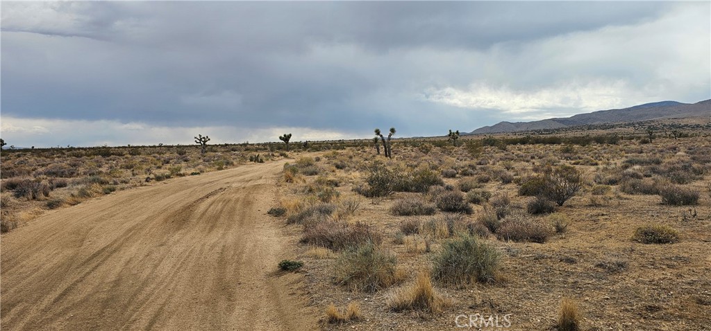 0 116th Street West Mojave, CA 93501 - Photo 2 of 6
