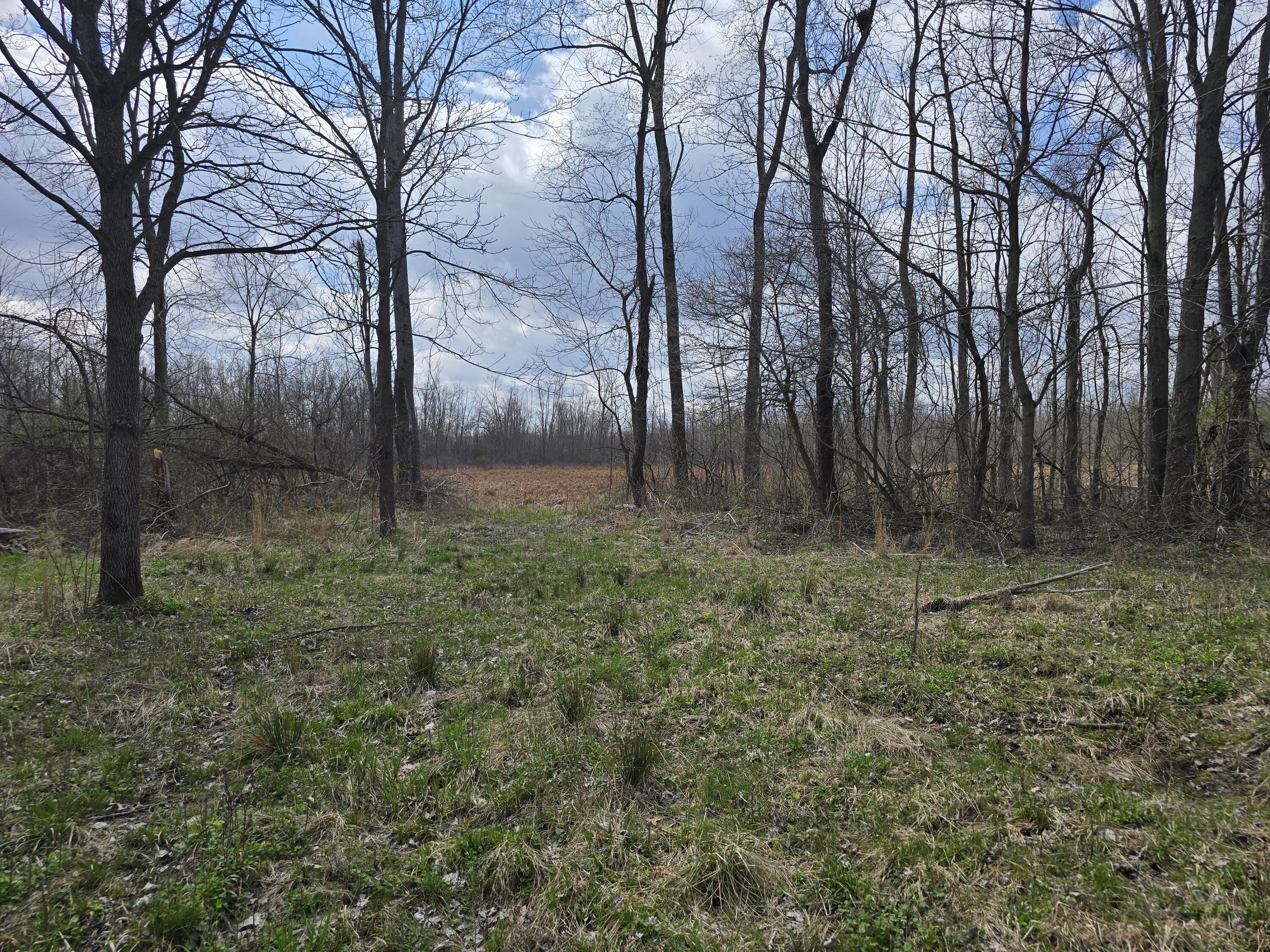 1284 Maplegrove Road Jackson, MI 49201 - Photo 28 of 45 20260413_131558