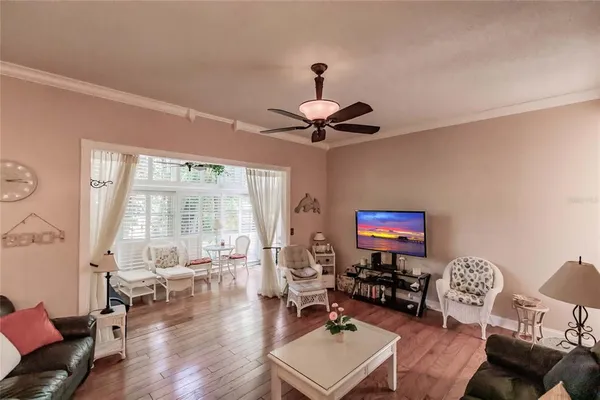 a living room with furniture a rug potted plant and a large window