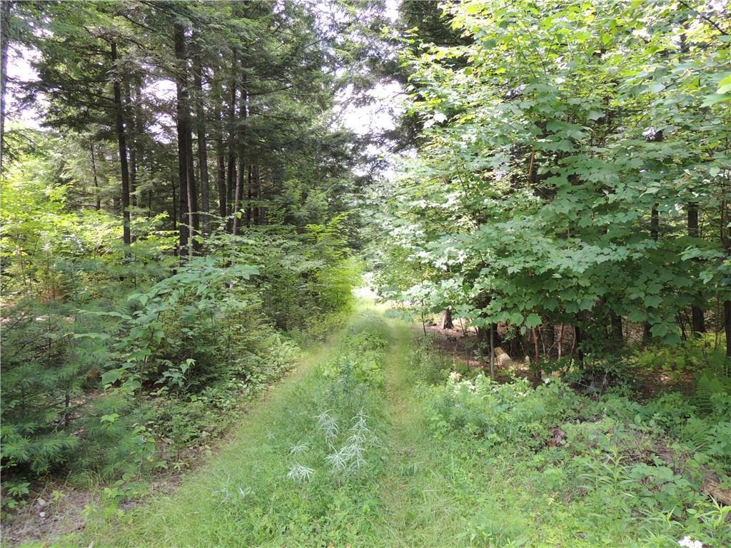 Tbd Frith Road Moscow, ME 04920 - Photo 2 of 7 Photo