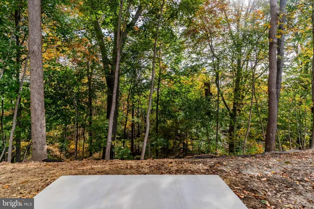 a view of a house with a tree in front of it