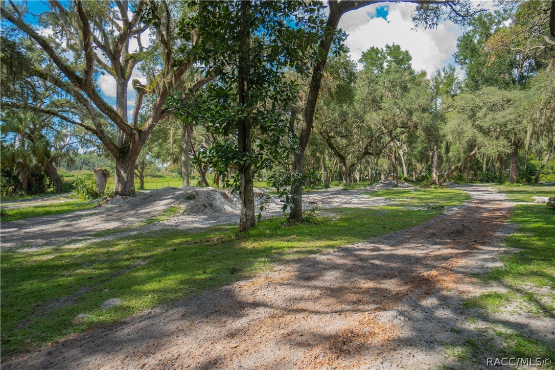 6535 East Turner Camp Road Inverness, FL 34453 - Photo 58 of 80 Gallery Image 58