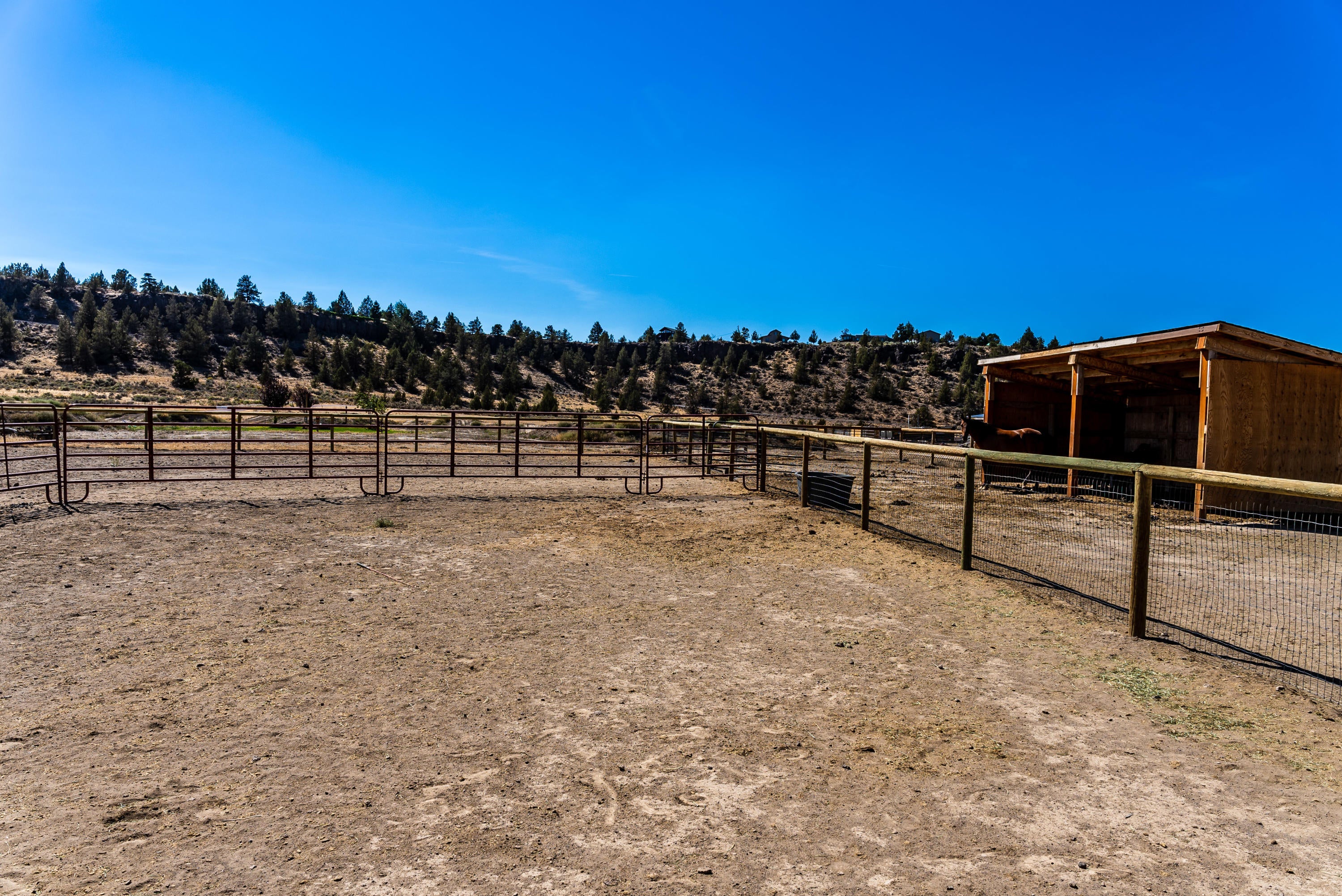 4893 Southwest Trout Road Terrebonne, OR 97760 - Photo 30 of 63 Even an arena!
