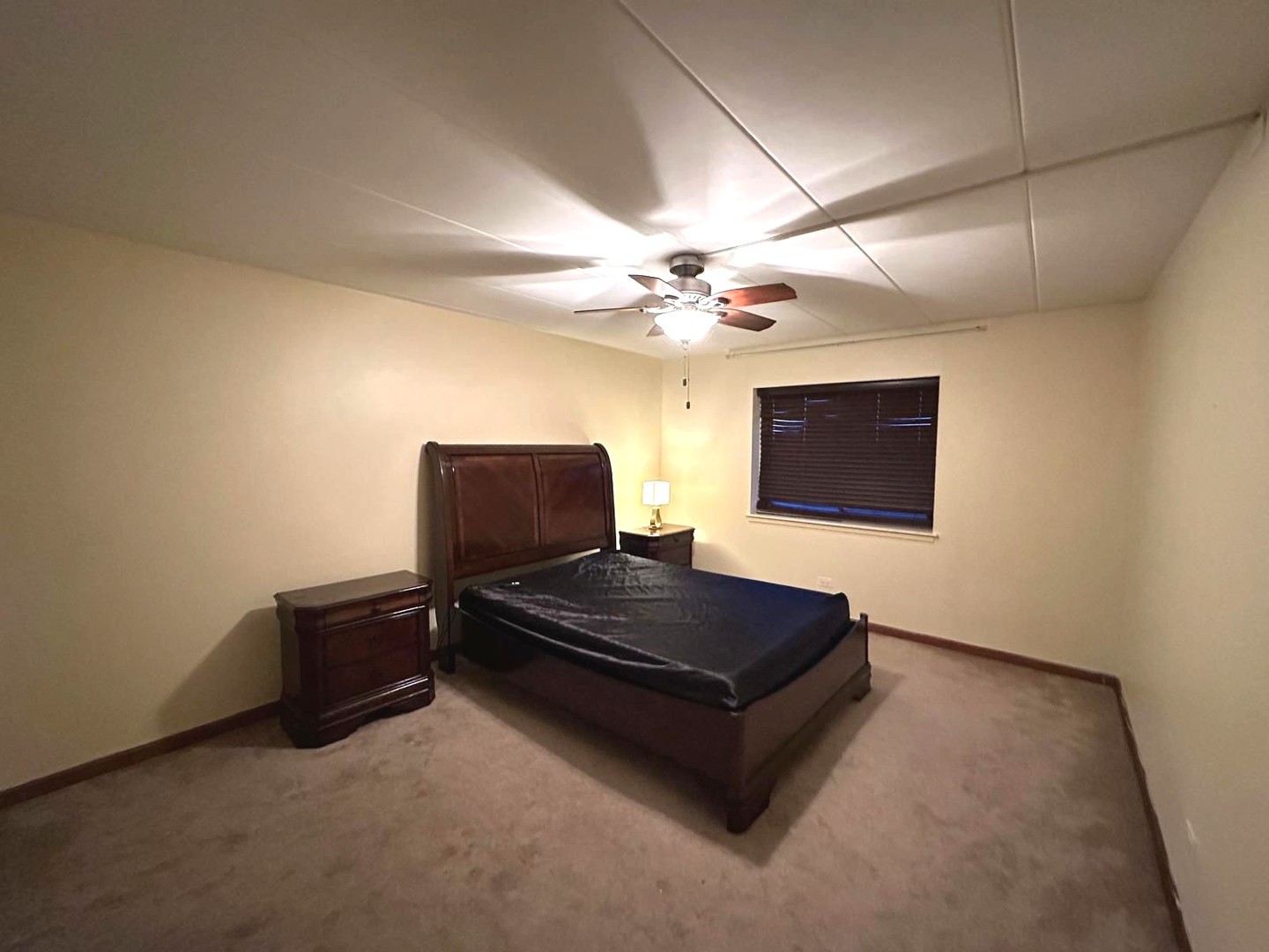 300 Roselle Road, Unit 419 Schaumburg, IL 60193 - Photo 8 of 11