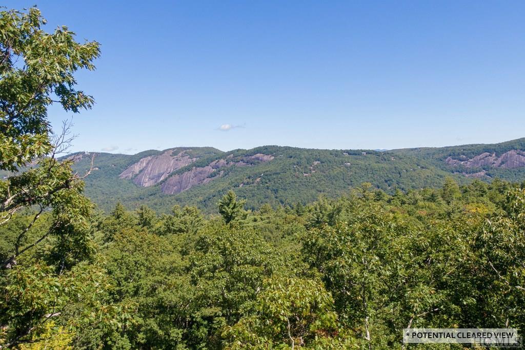 Lot 31 East Ridge Road Cashiers, NC 28717 - Photo 1 of 11 Gallery Image 1