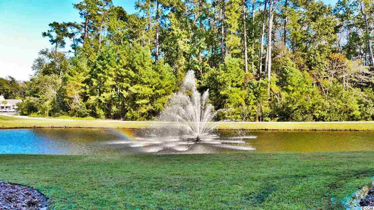 1000 Ray Costin Way, Unit 102 Murrells Inlet, SC 29576 - Photo 22 of 25 Gallery Image 22