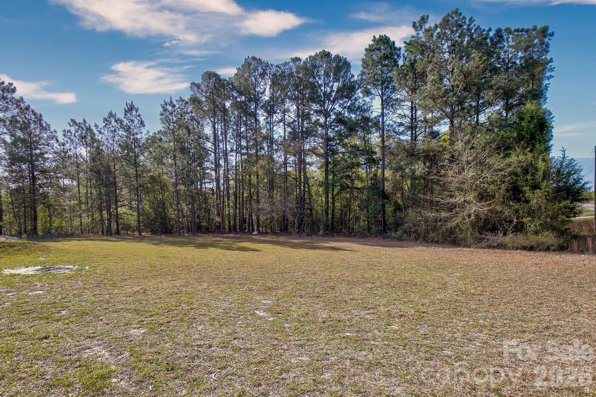 4282 Fred Gardner Road Kershaw, SC 29067 - Photo 36 of 36 a view of a field with trees in the background