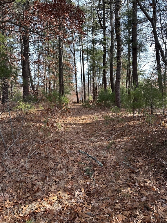 24 Weaver Street Wareham, MA 02576 - Photo 12 of 17