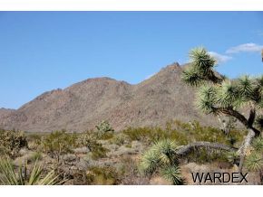 3461 South Calamity Jane Road Yucca, AZ 86438 - Photo 3 of 3 Additional Photo