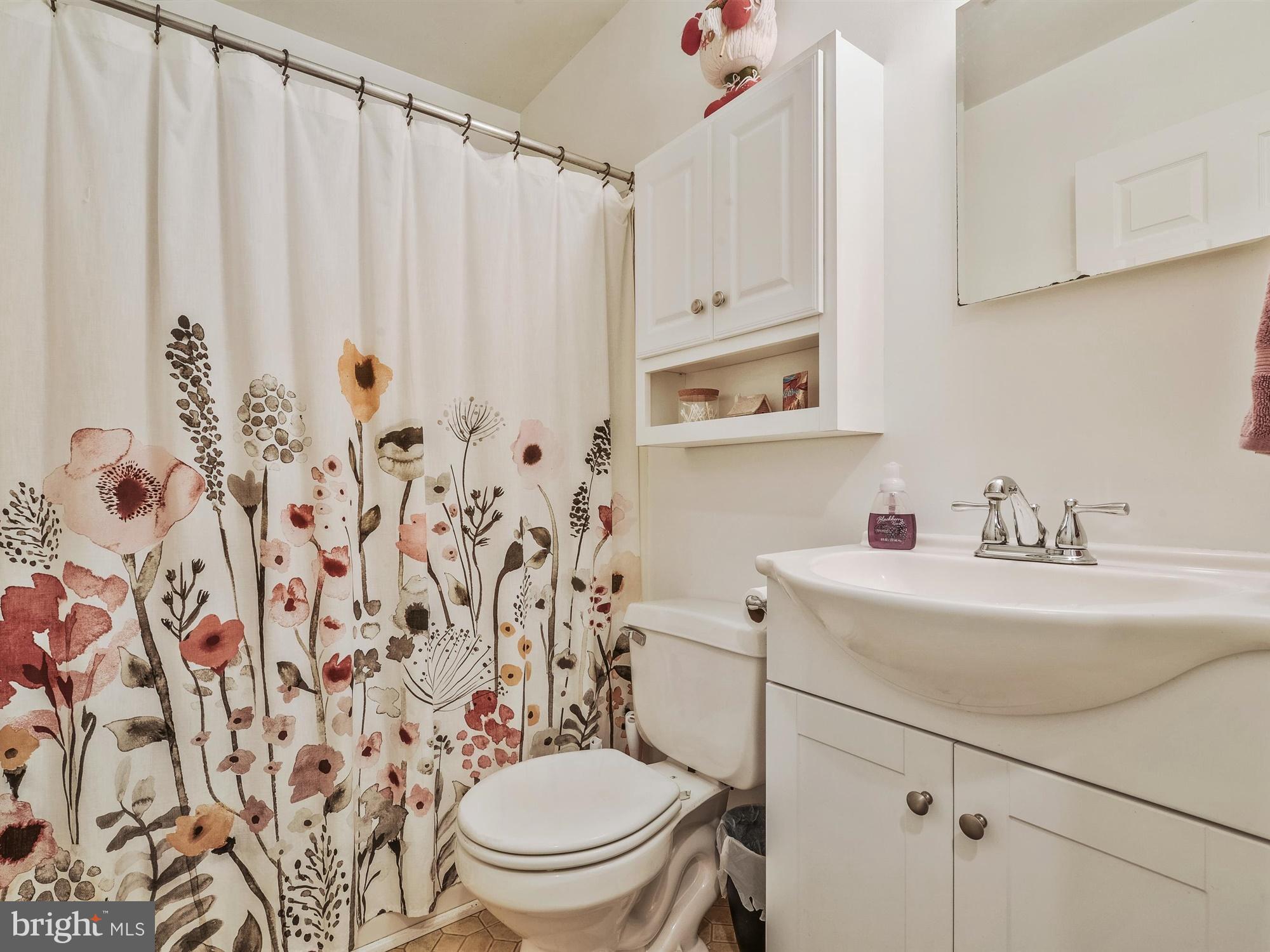 62 Mowery Road Jonestown, PA 17038 - Photo 10 of 20 Bath