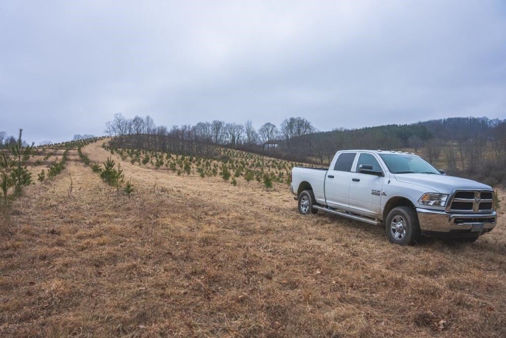 Tbd Long Mountain Road Southwest Willis, VA 24380 - Photo 46 of 66 Gallery Image 46