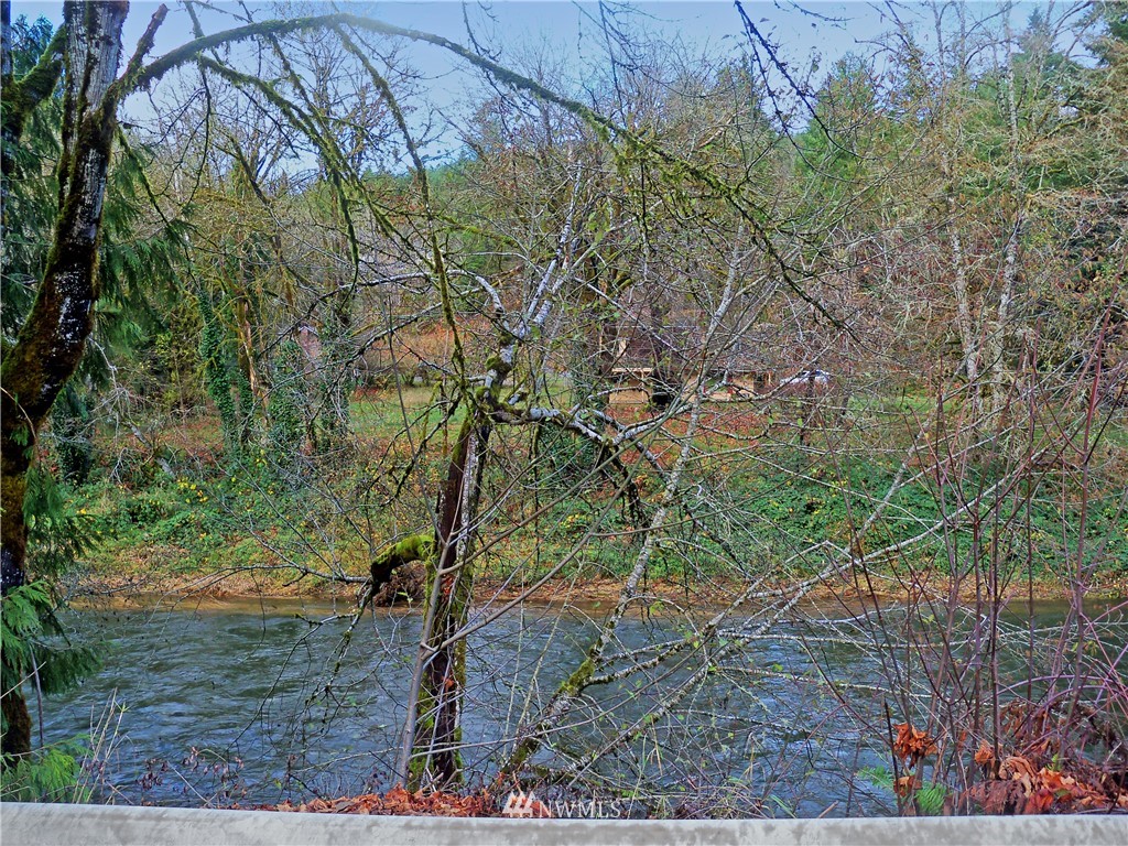 136 Schoolhouse Road Kelso, WA 98626 - Photo 5 of 21 Gallery Image 5