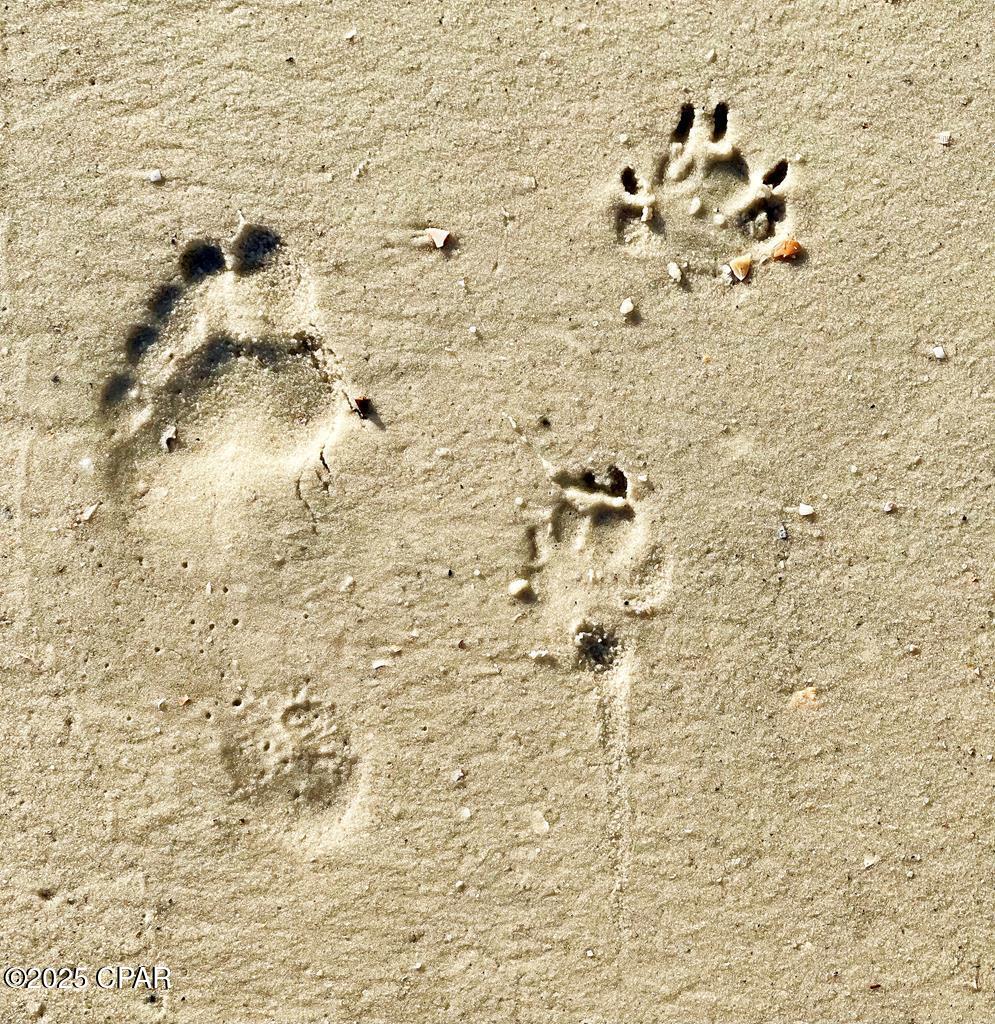 528 Windmark Way Port St. Joe, FL 32456 - Photo 20 of 20