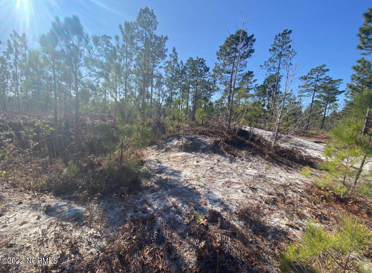 Sr-1501 Sand Ridge Road Hubert, NC 28539 - Photo 4 of 4 land