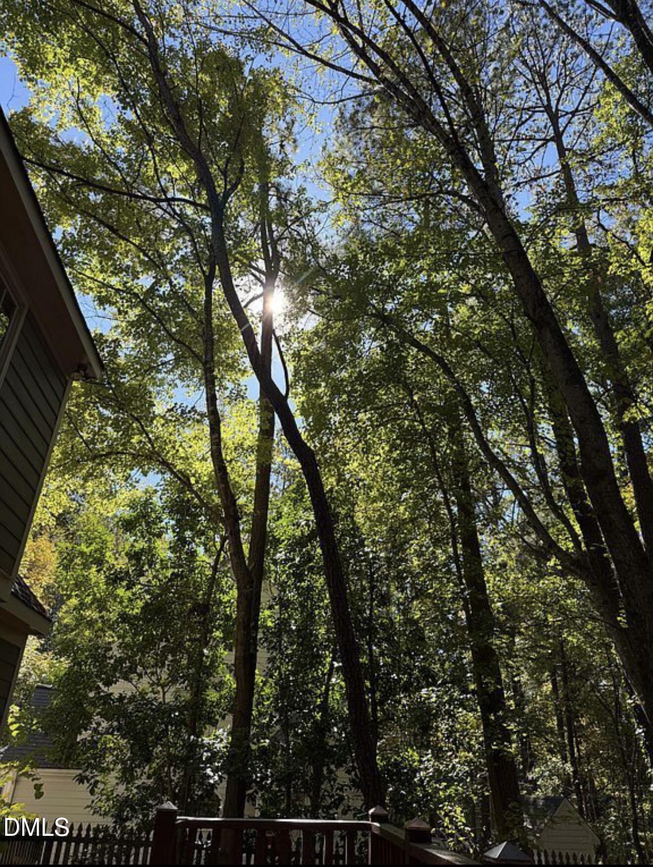 108 Canterfield Road Cary, NC 27513 - Photo 32 of 34 beyc693646394b390