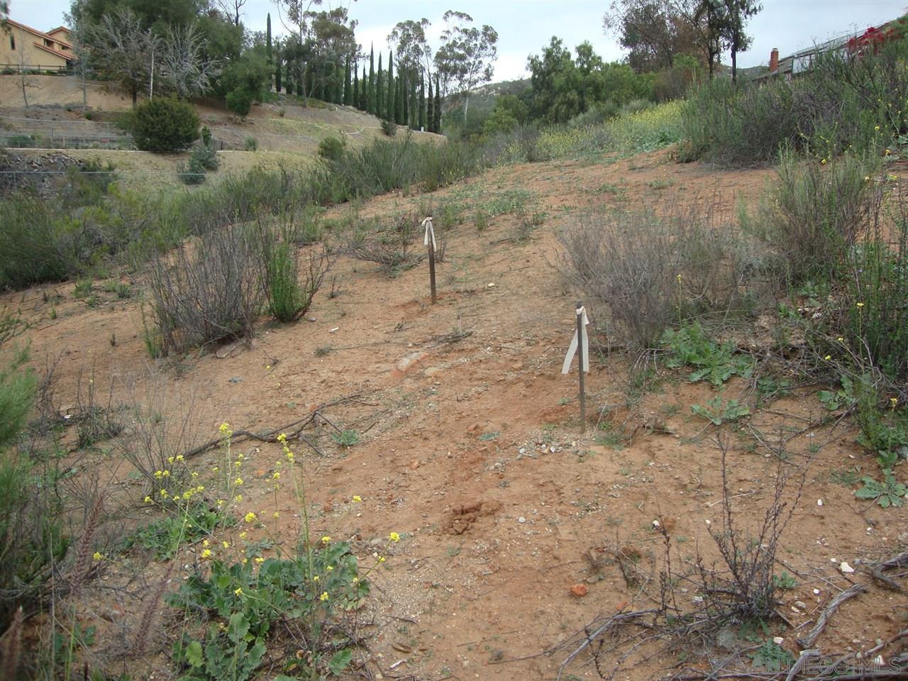 0 Campo Road Jamul, CA 91935 - Photo 3 of 5