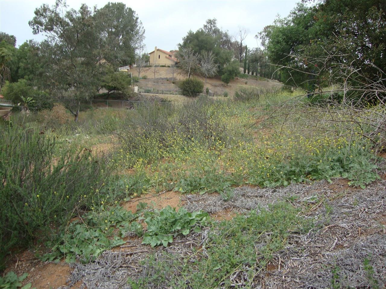0 Campo Road Jamul, CA 91935 - Photo 4 of 5