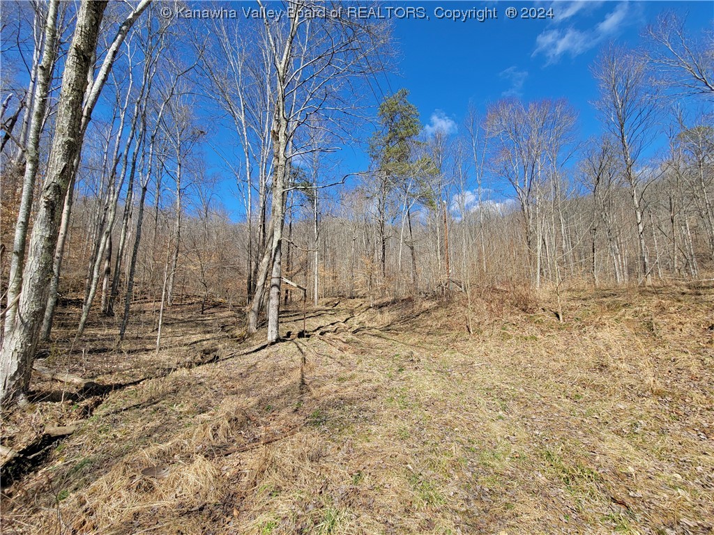 213 Otto Road Spencer, WV 25276 - Photo 19 of 25 Gallery Image 19