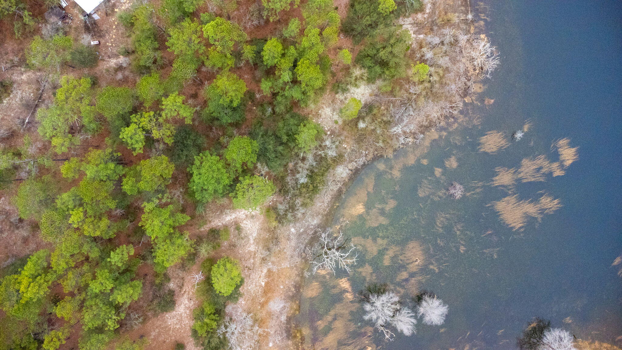 4860 Grassy Pond Road Chipley, FL 32428 - Photo 6 of 21 Skyview