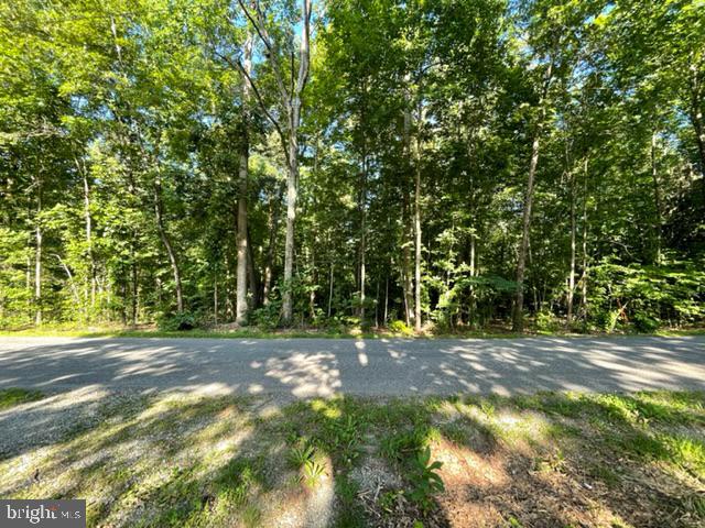 Proffits Road Louisa, VA 23093 - Photo 2 of 4