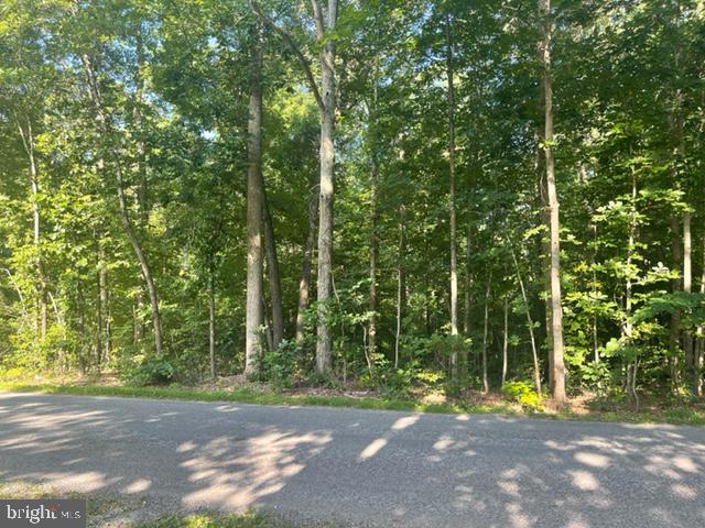 Proffits Road Louisa, VA 23093 - Photo 4 of 4