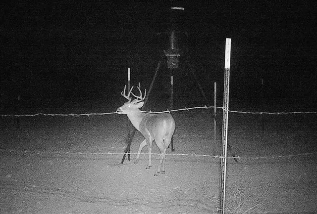 a view of a yard with wooden fence
