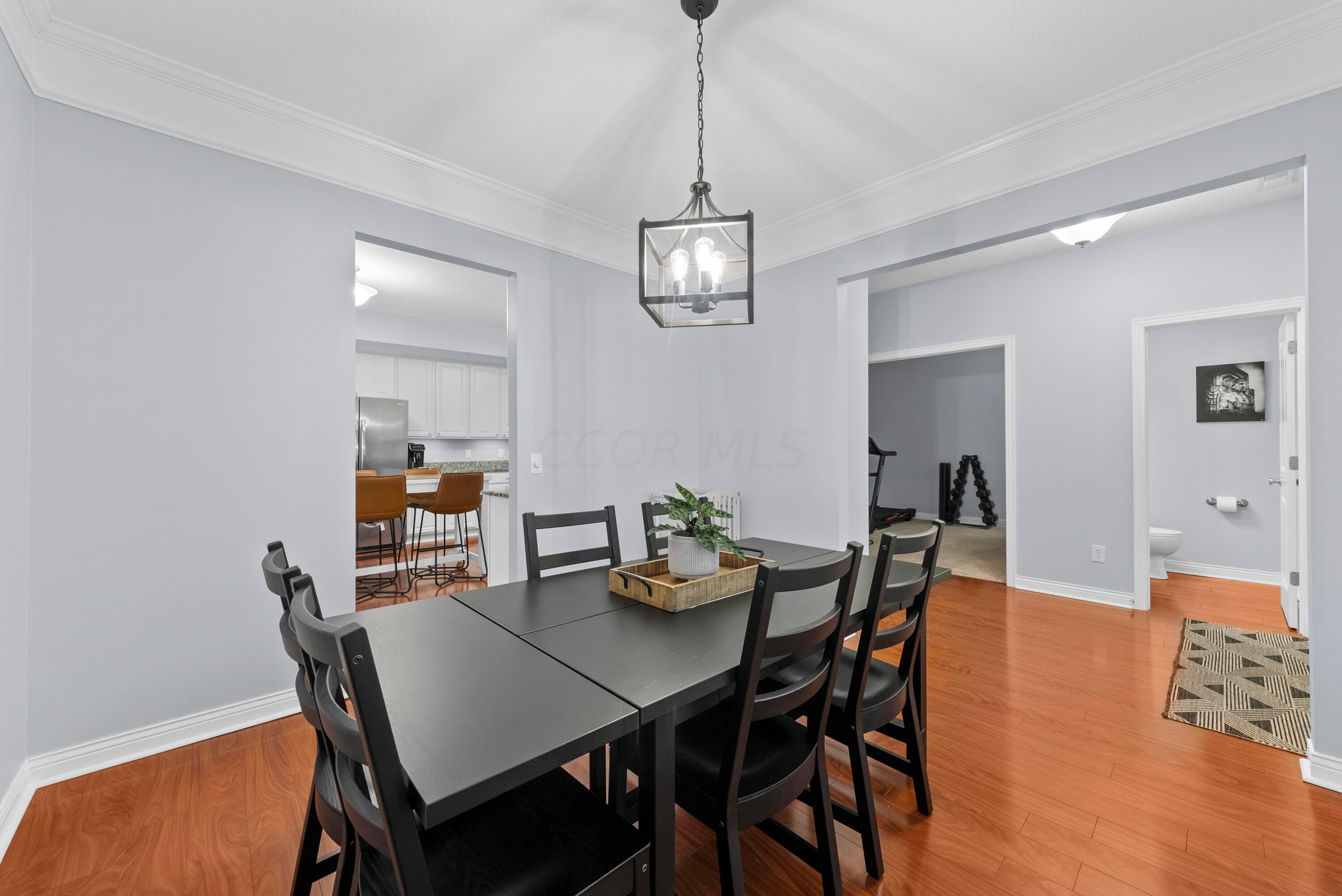 6021 Myrick Road Dublin, OH 43016 - Photo 10 of 51 DSC07197