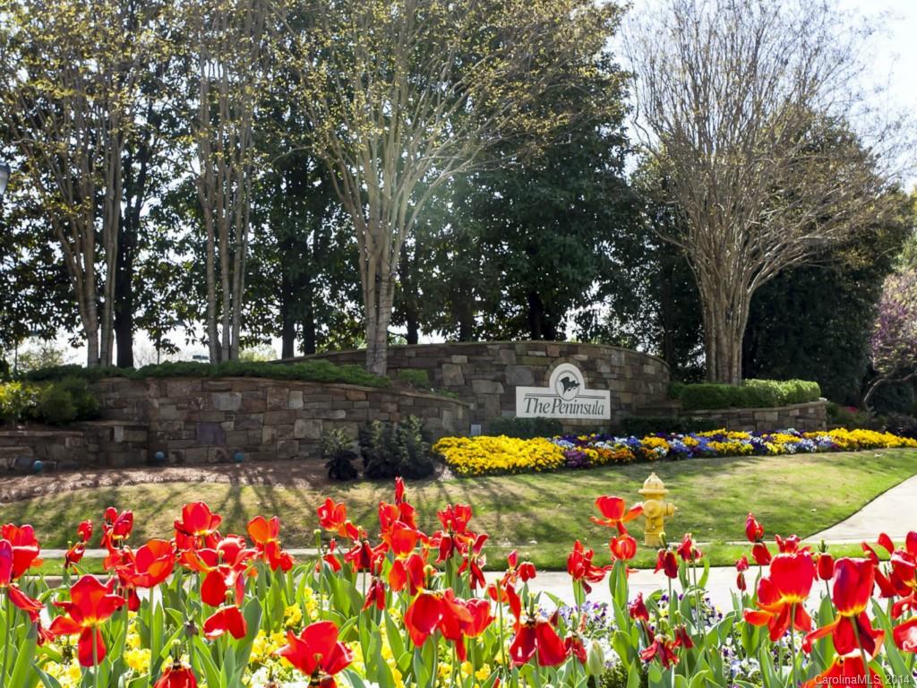16505 Jetton Road Cornelius, NC 28031 - Photo 21 of 23 a view of swimming pool with outdoor seating and covered with trees