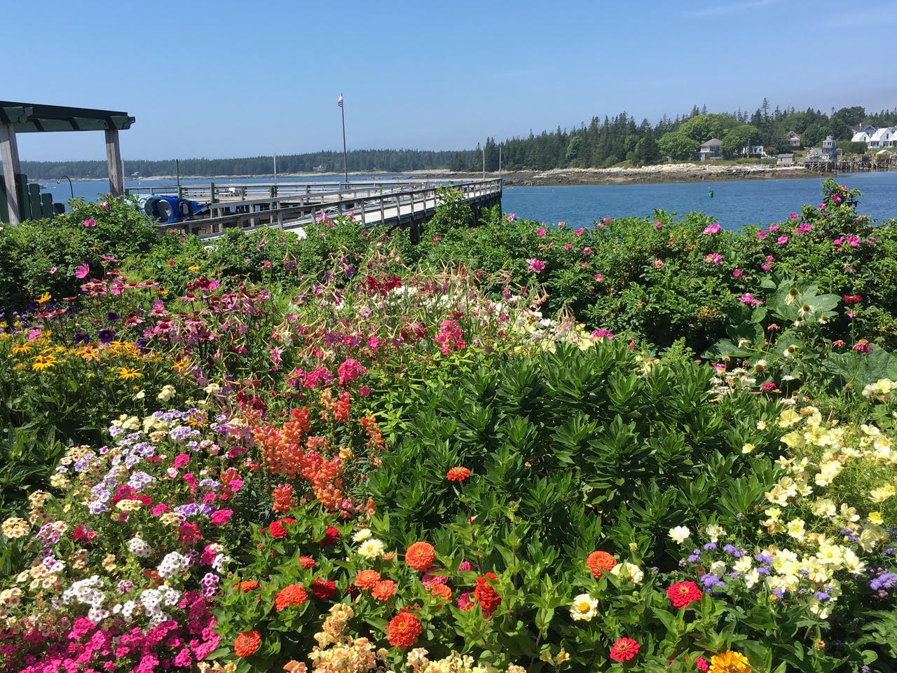 5 H Granville Road, Unit 8 Bass Harbor, ME 04653 - Photo 1 of 22 Flowers