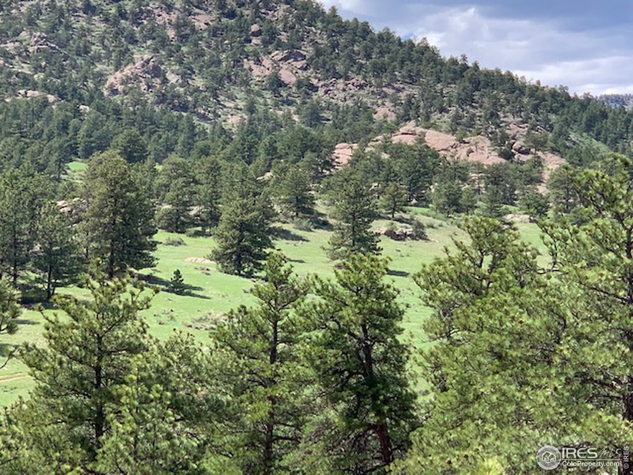 0 Open Range Road Road Lyons, CO 80540 - Photo 3 of 9
