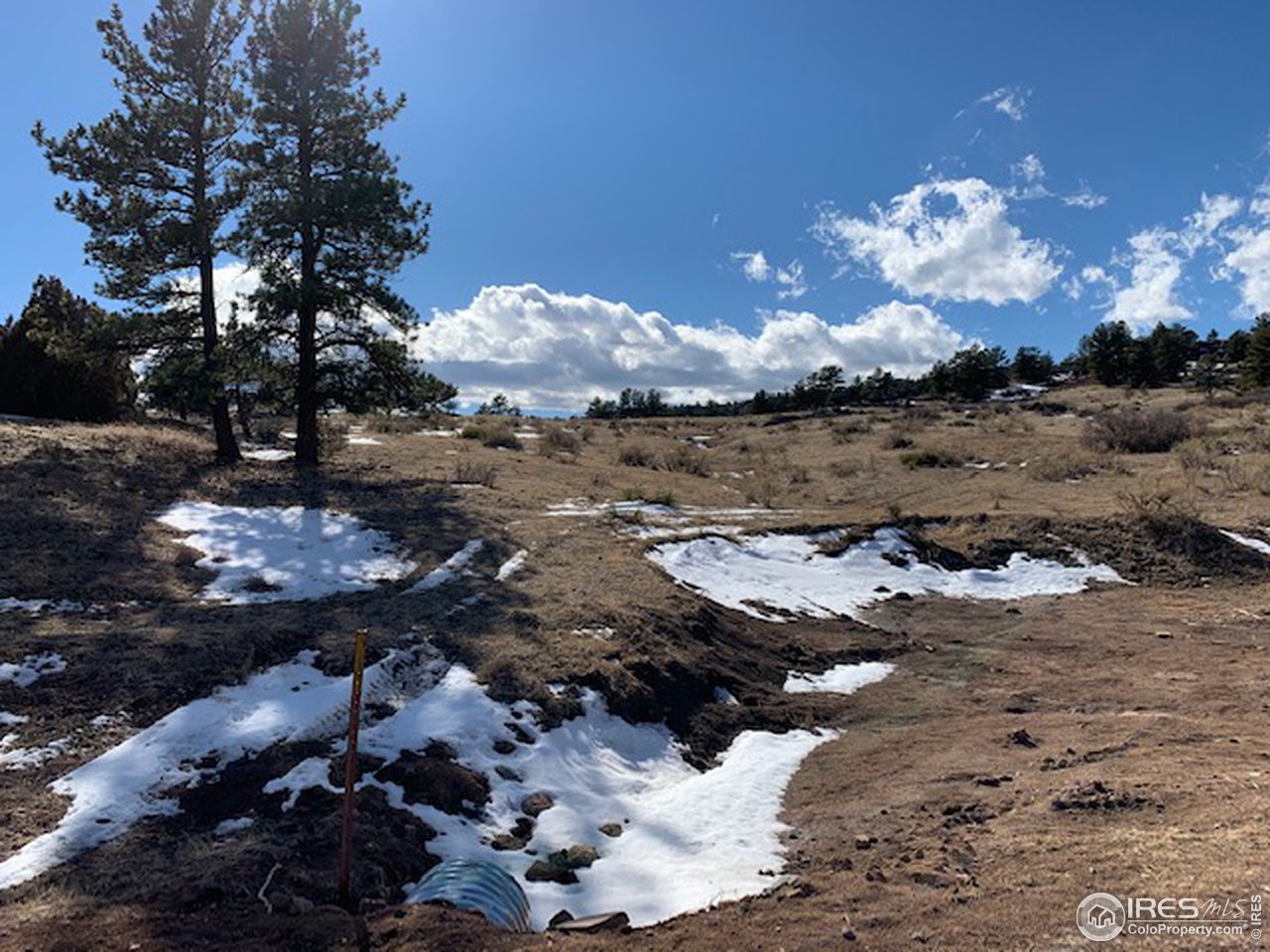 0 Open Range Road Road Lyons, CO 80540 - Photo 4 of 9