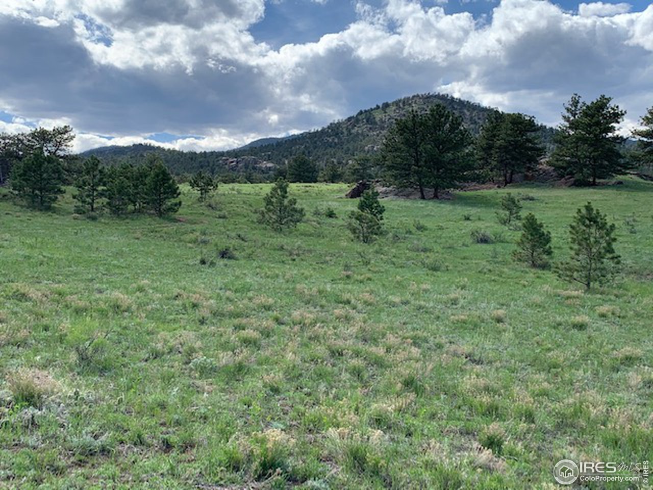 0 Open Range Road Road Lyons, CO 80540 - Photo 6 of 9