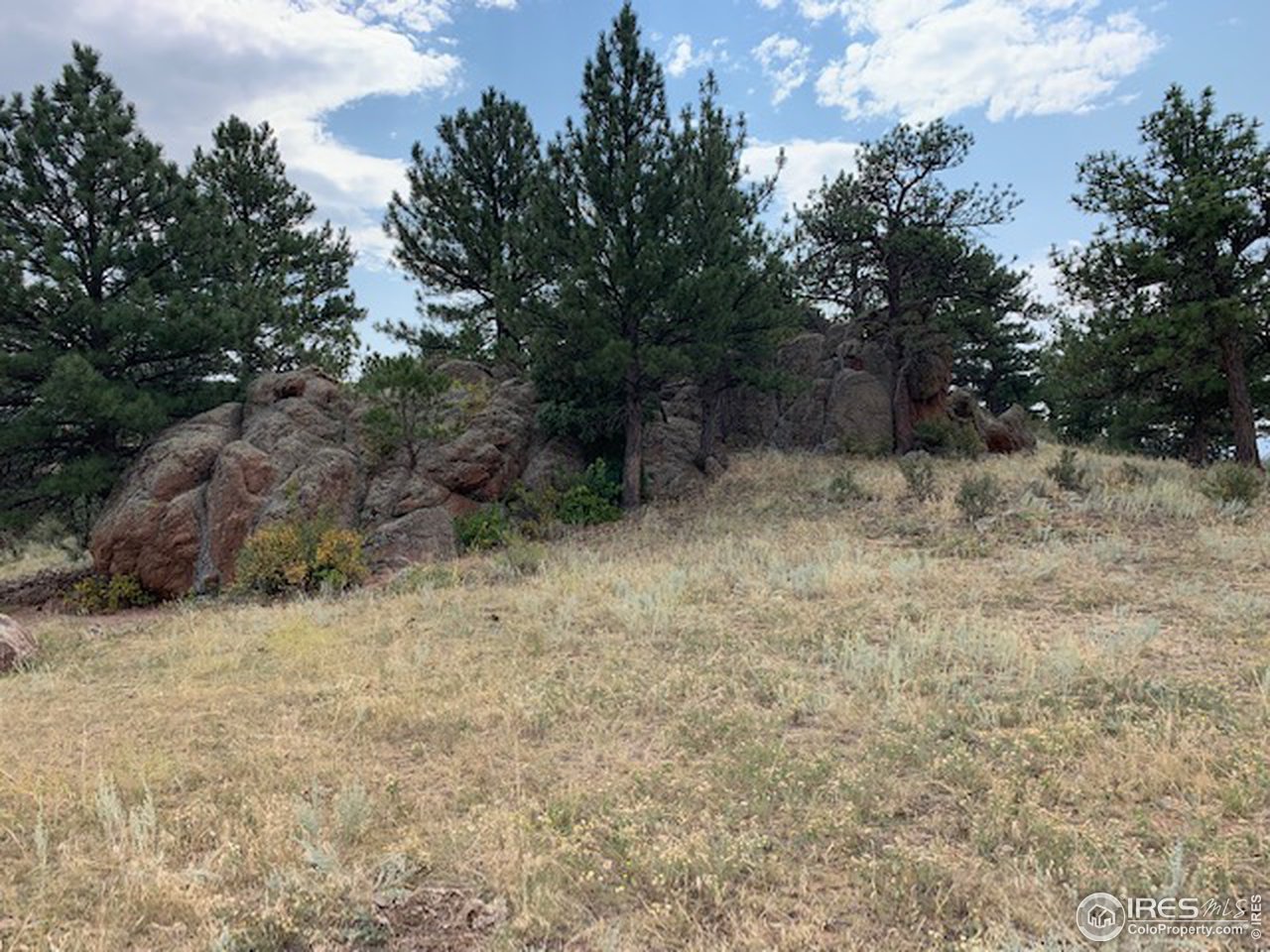 0 Open Range Road Road Lyons, CO 80540 - Photo 7 of 9