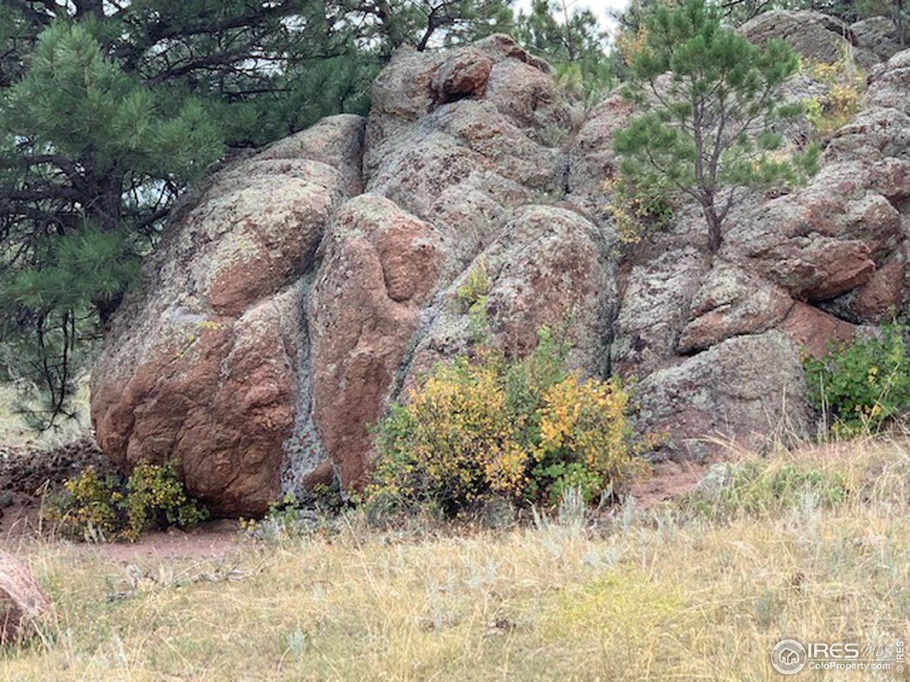 0 Open Range Road Road Lyons, CO 80540 - Photo 8 of 9