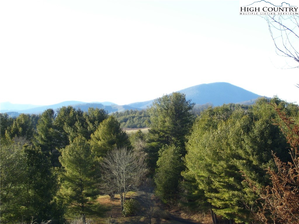 309 Ray Miller Road West Jefferson, NC 28694 - Photo 16 of 22 Gallery Image 16