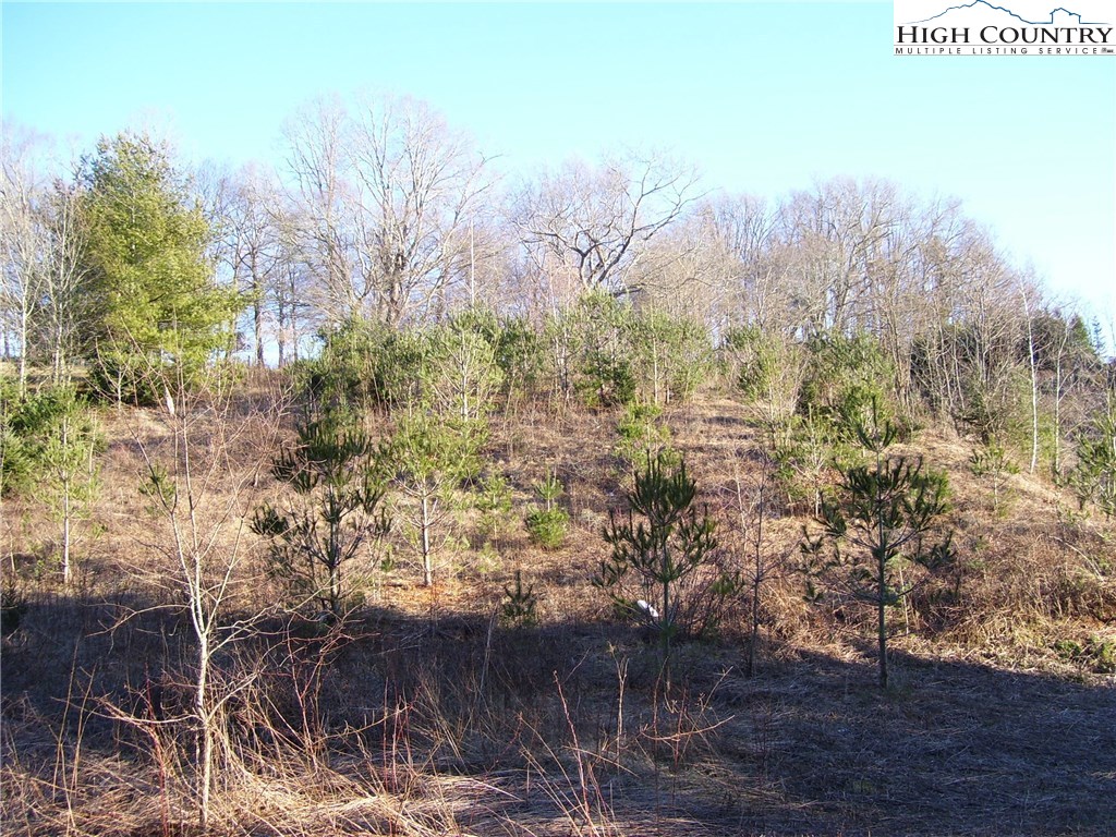 309 Ray Miller Road West Jefferson, NC 28694 - Photo 10 of 22 Gallery Image 10